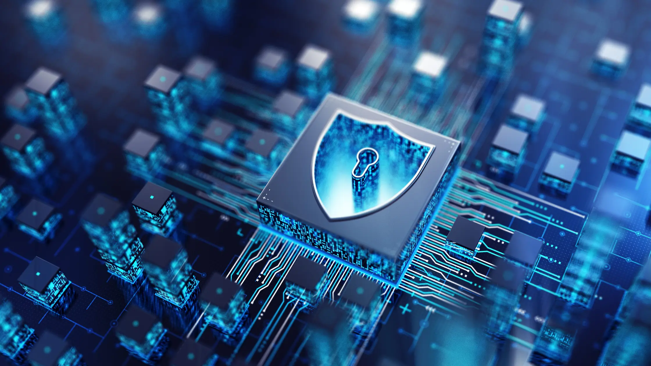 cybersegurança