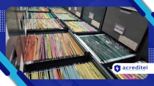 Ferramentas online gratuitas para recuperação e organização de arquivos esquecidos ou perdidos